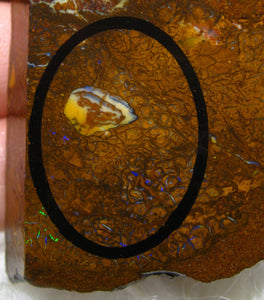 245 cts Australien Roh/rough Yowah Boulder Matrix Opal Muster Vorlage am Stein - Repps-Opal