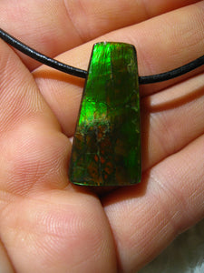 Ammolite Ammolith Anhänger seitlich gebohrt - Repps-Opal