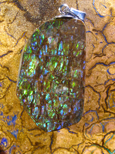 GEM Ammolite Ammolith Anhänger - Repps-Opal