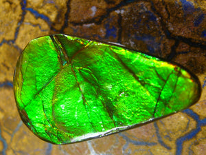 Ammolite Ammolith Cabochon Schmuckstein - Repps-Opal