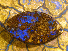Laden Sie das Bild in den Galerie-Viewer, Boulder Opal mit Vorschau Video PC03 - Repps-Opal
