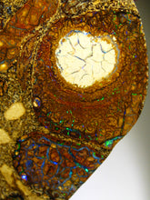 Laden Sie das Bild in den Galerie-Viewer, Boulder Yowah Matrix Opal Nuss sensationelles Muster mit vorschau VIDEO SAMMLER Vitrine