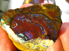 Laden Sie das Bild in den Galerie-Viewer, Yowah Nuss Nut Opal Rough Roh Opal Sammler SCHLEIFER Vorschau Video