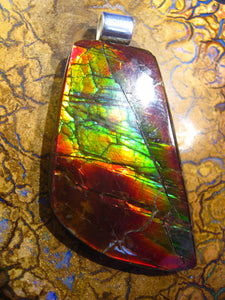 GEM stone Ammolite Ammolith Stein Anhänger - Repps-Opal