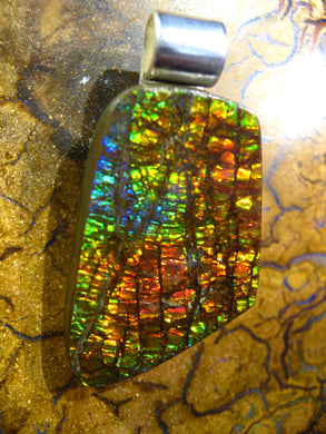 GEM Ammolite Drachenschuppen Ammolith Anhänger - Repps-Opal