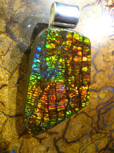 Laden Sie das Bild in den Galerie-Viewer, GEM Ammolite Drachenschuppen Ammolith Anhänger - Repps-Opal
