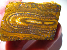Laden Sie das Bild in den Galerie-Viewer, 240 cts Australien Roh/rough Yowah Boulder Matrix Opal Musterstein D - Repps-Opal