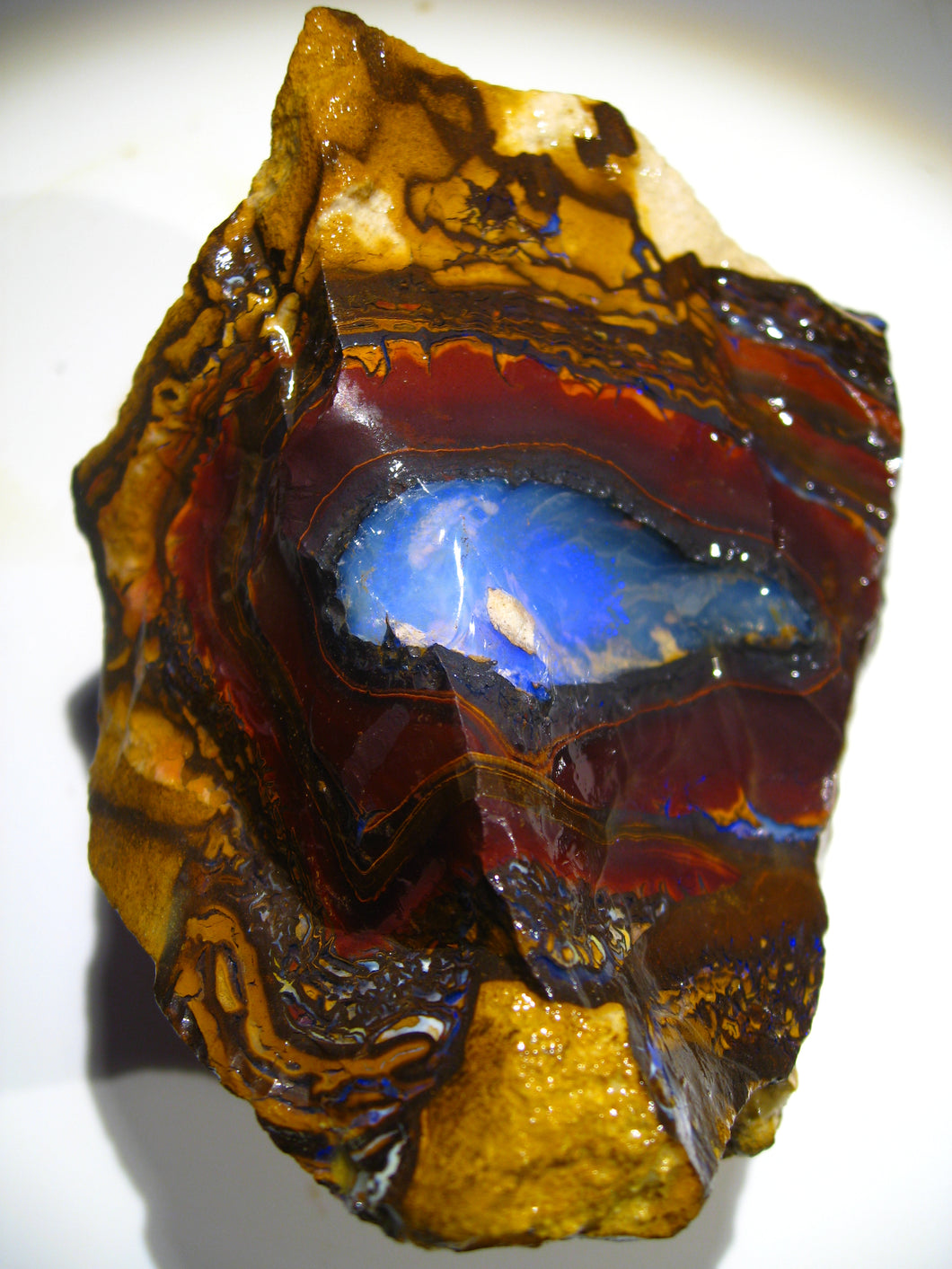 1190 cts Australien Roh/rough Yowah Nuss Boulder Matrix Opal Sammler Opal - Repps-Opal