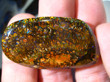 Laden Sie das Bild in den Galerie-Viewer, GEM Boulder Matrix Opal Nuss sensationelles Muster - Repps-Opal