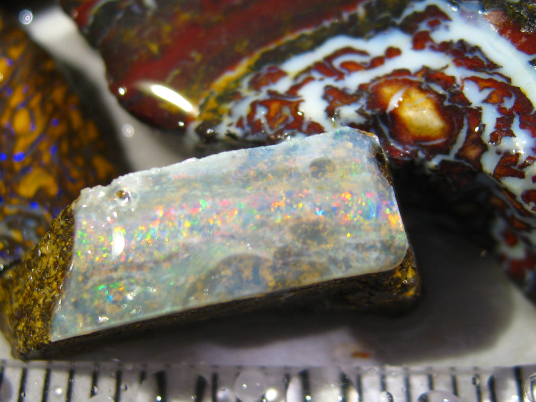170 cts Australien Roh/rough Yowah Koroit Boulder Matrix Opale S9 TOP - Repps-Opal