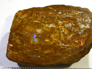 57 cts Australien Roh/rough Yowah Koroit Boulder Matrix Opale E1 - Repps-Opal