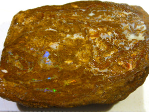 57 cts Australien Roh/rough Yowah Koroit Boulder Matrix Opale E1 - Repps-Opal