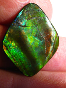 GEM Rarrr Doppelseiter Imperial Ammolith/Ammolite Stein mit Vorschau Video - Repps-Opal