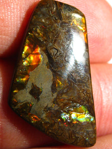 GEM Rarrr Doppelseiter Imperial Ammolith/Ammolite Stein mit Vorschau Video - Repps-Opal