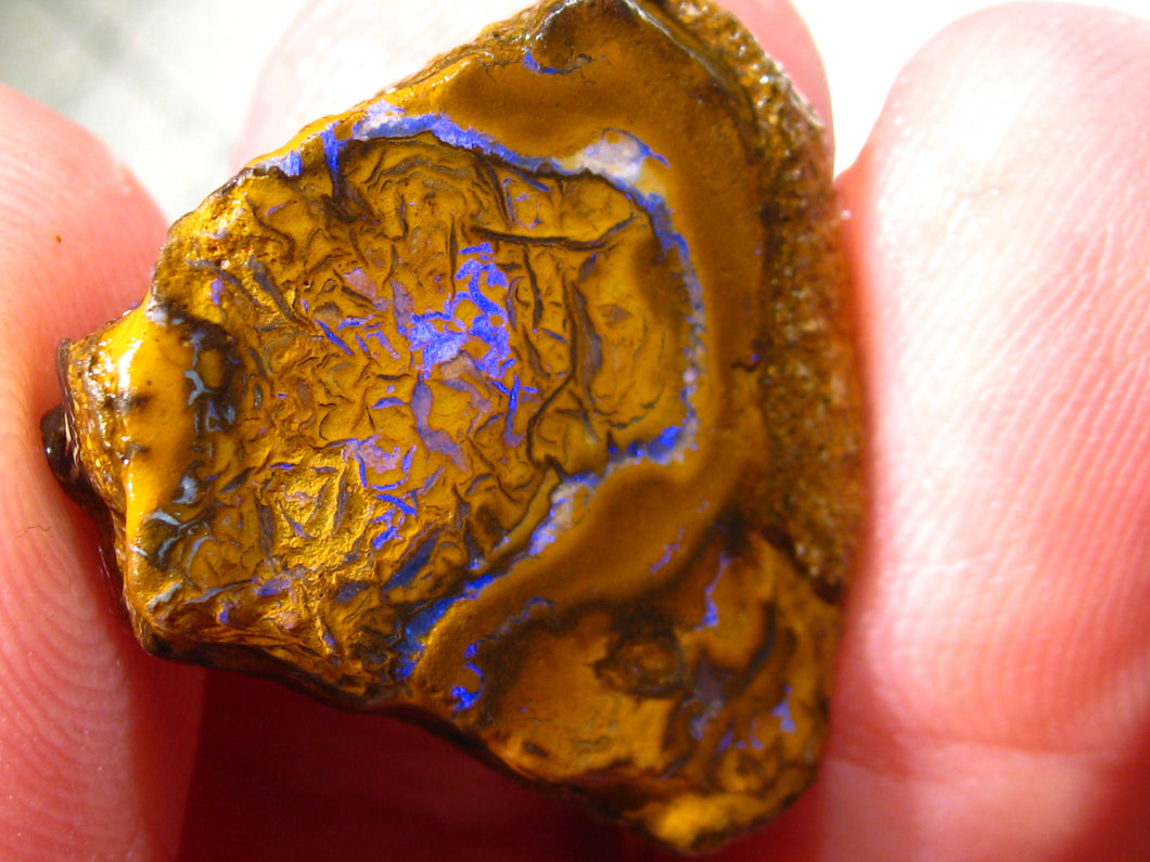 19 cts Australien Roh/rough Yowah Boulder Matrix Opal