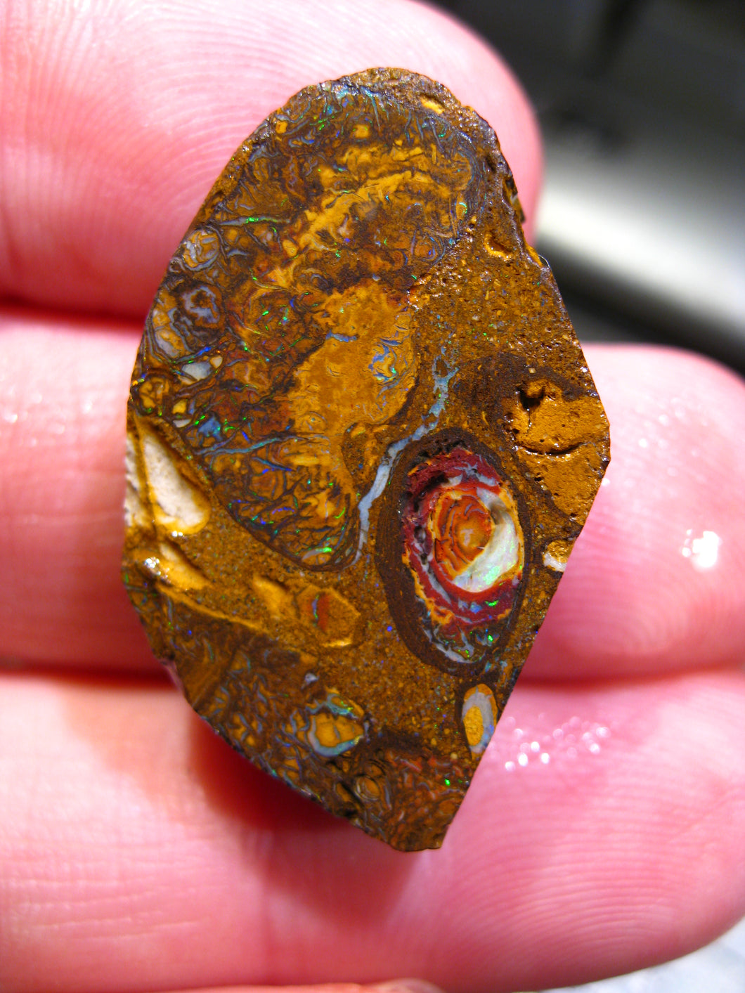 33 cts Australien Roh/rough Yowah Boulder Matrix Opal PRE CUT Opal