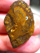 Laden Sie das Bild in den Galerie-Viewer, 33 cts Australien Roh/rough Yowah Boulder Matrix Opal PRE CUT Opal