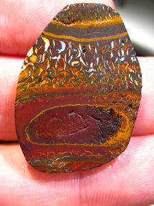 42 cts Australien Roh/rough Yowah Boulder Matrix Opal PRE CUT Opal