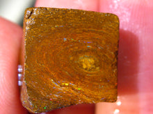 Laden Sie das Bild in den Galerie-Viewer, 34 cts Australien Roh/rough Yowah Boulder Matrix Opal PRE CUT Opal