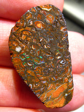 Laden Sie das Bild in den Galerie-Viewer, 46 cts Australien Roh/rough Yowah Boulder Matrix Opal PRE CUT Opal