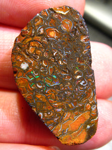 46 cts Australien Roh/rough Yowah Boulder Matrix Opal PRE CUT Opal