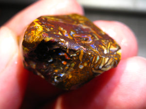 83 cts Australien Roh/rough Yowah Boulder Matrix Opal PRE CUT Opal