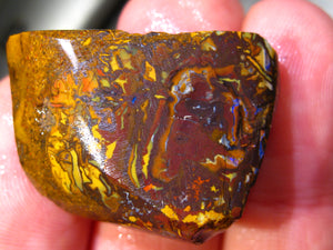 83 cts Australien Roh/rough Yowah Boulder Matrix Opal PRE CUT Opal