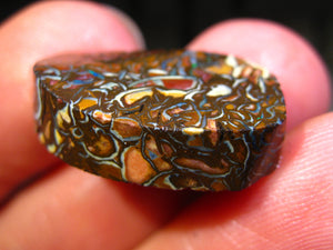 31 cts Australien Roh/rough Yowah Boulder Matrix Opal PRE CUT Opal
