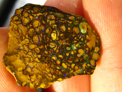 209 cts Australien Roh/rough Yowah Koroit Boulder Matrix Opal Sammler Schleifer mit VORSCHAU VIDEO