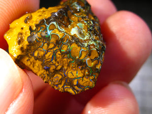 209 cts Australien Roh/rough Yowah Koroit Boulder Matrix Opal Sammler Schleifer mit VORSCHAU VIDEO