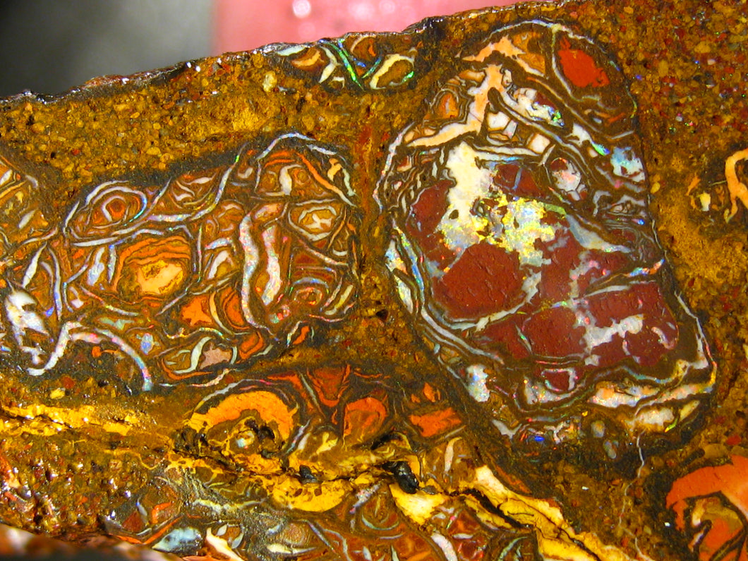 308 cts Australien Roh/rough Yowah Koroit Boulder Matrix Opal Sammler Schleifer