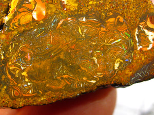 308 cts Australien Roh/rough Yowah Koroit Boulder Matrix Opal Sammler Schleifer
