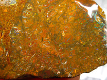 Laden Sie das Bild in den Galerie-Viewer, 184 cts Australien Roh/rough Yowah Boulder Matrix Opal Sammler Schleifer mit VORSCHAU VIDEO