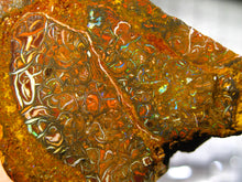 Laden Sie das Bild in den Galerie-Viewer, 293 cts Australien Roh/rough Yowah Boulder Matrix Opal Sammler Schleifer mit VORSCHAU VIDEO
