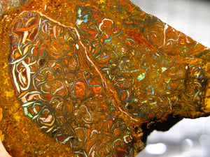 293 cts Australien Roh/rough Yowah Boulder Matrix Opal Sammler Schleifer mit VORSCHAU VIDEO
