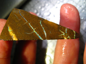 127 cts Australien Roh/rough Yowah Boulder Matrix Opal Sammler Schleifer