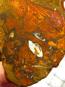 312 cts Australien Roh/rough Yowah Boulder Matrix Opal Sammler Schleifer