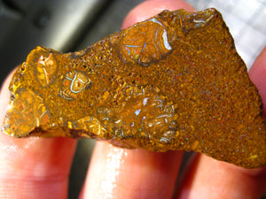 94 cts Australien Roh/rough Yowah Boulder Matrix Opal Sammler Schleifer