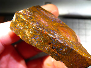 316 cts Australien Roh/rough Yowah Boulder Matrix Opal Sammler Schleifer