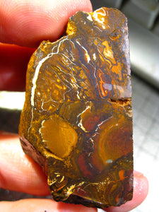 272 cts Australien Roh/rough Yowah Boulder Matrix Opal Sammler Schleifer