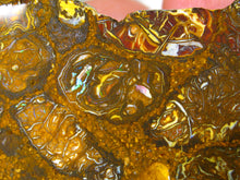 Laden Sie das Bild in den Galerie-Viewer, 212 cts Australien Roh/rough Yowah Boulder Matrix Opal Sammler Schleifer