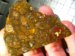 212 cts Australien Roh/rough Yowah Boulder Matrix Opal Sammler Schleifer