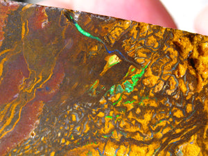 362 cts Australien Roh/rough Yowah Boulder Matrix Opal Sammler Schleifer