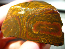Laden Sie das Bild in den Galerie-Viewer, 362 cts Australien Roh/rough Yowah Boulder Matrix Opal Sammler Schleifer