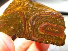 Laden Sie das Bild in den Galerie-Viewer, 362 cts Australien Roh/rough Yowah Boulder Matrix Opal Sammler Schleifer