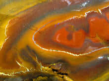 Laden Sie das Bild in den Galerie-Viewer, 202 cts Australien Roh/rough Yowah Boulder Matrix Opal Sammler Schleifer
