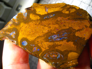 239 cts Australien Roh/rough Yowah Boulder Matrix Opal Sammler Schleifer