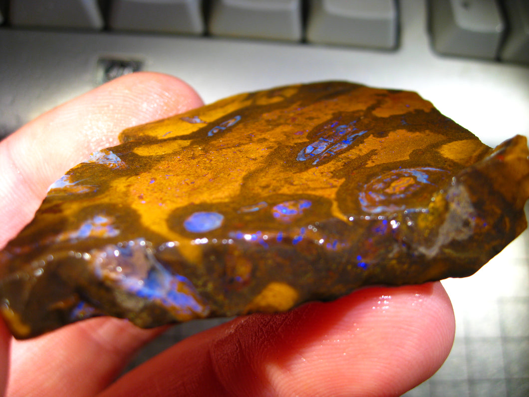 239 cts Australien Roh/rough Yowah Boulder Matrix Opal Sammler Schleifer