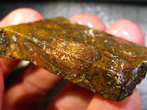 142 cts Australien Roh/rough Yowah Boulder Matrix Opal Sammler Schleifer