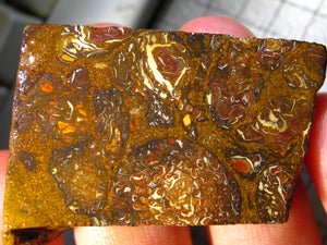 142 cts Australien Roh/rough Yowah Boulder Matrix Opal Sammler Schleifer